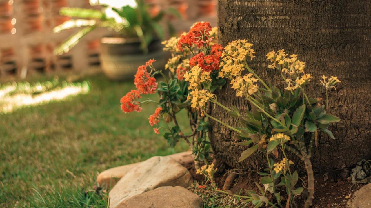 Chales Terraviva Pirenópolis المظهر الخارجي الصورة